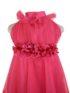 Faye Berry Ruffled Neck Dress for Girls